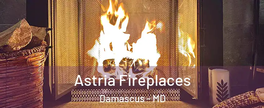  Astria Fireplaces Damascus - MD