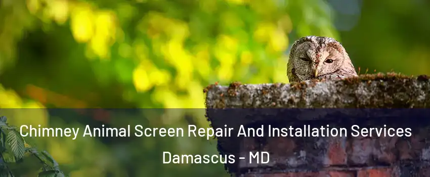  Chimney Animal Screen Repair And Installation Services Damascus - MD