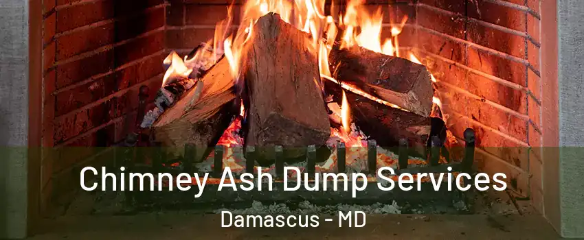  Chimney Ash Dump Services Damascus - MD