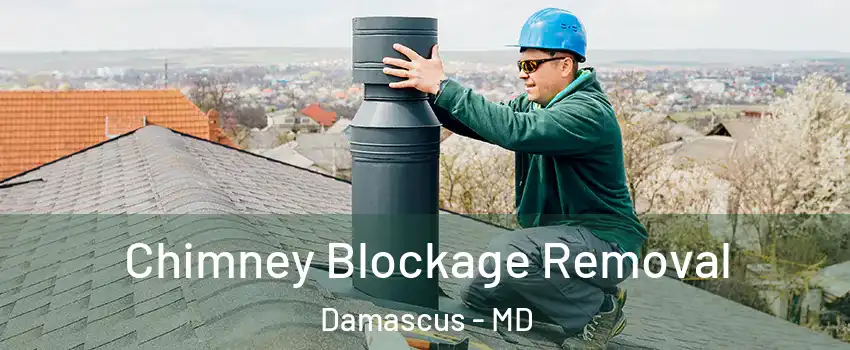  Chimney Blockage Removal Damascus - MD
