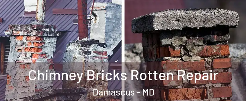  Chimney Bricks Rotten Repair Damascus - MD