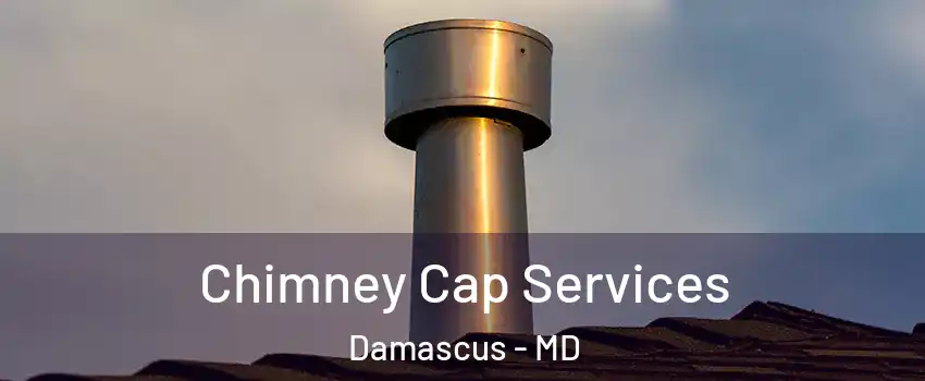  Chimney Cap Services Damascus - MD