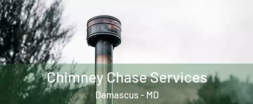  Chimney Chase Services Damascus - MD
