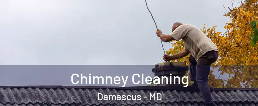  Chimney Cleaning Damascus - MD