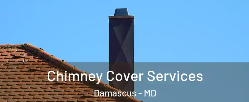  Chimney Cover Services Damascus - MD