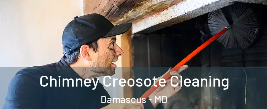  Chimney Creosote Cleaning Damascus - MD