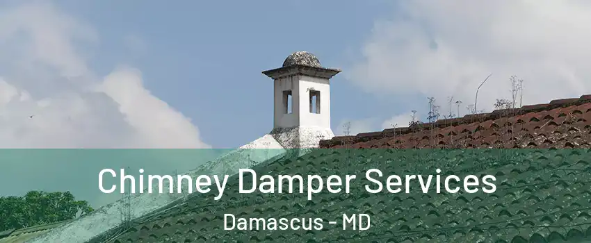  Chimney Damper Services Damascus - MD