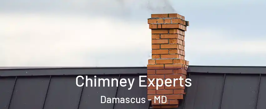  Chimney Experts Damascus - MD