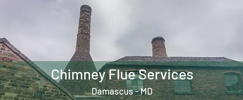  Chimney Flue Services Damascus - MD