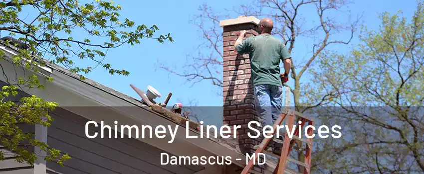  Chimney Liner Services Damascus - MD