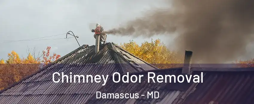  Chimney Odor Removal Damascus - MD