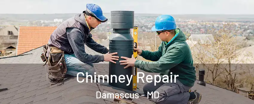  Chimney Repair Damascus - MD
