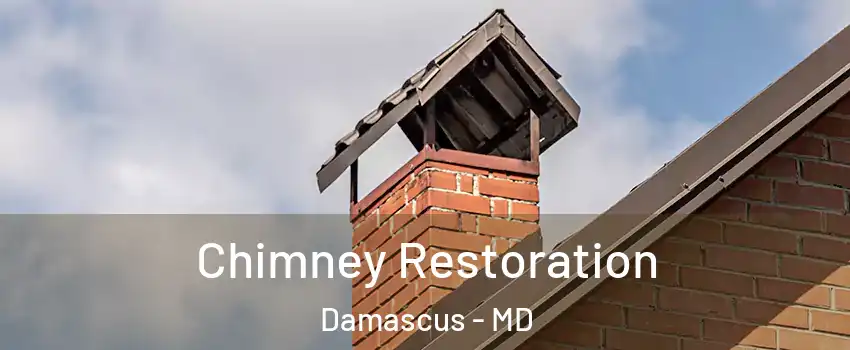  Chimney Restoration Damascus - MD