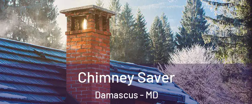  Chimney Saver Damascus - MD