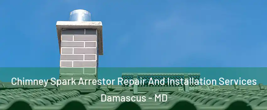  Chimney Spark Arrestor Repair And Installation Services Damascus - MD
