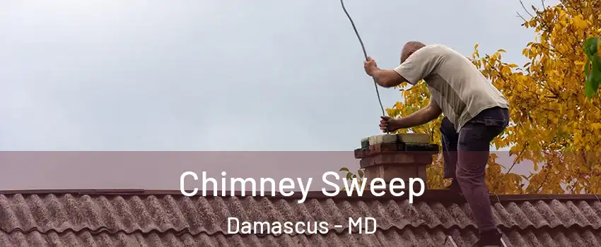  Chimney Sweep Damascus - MD