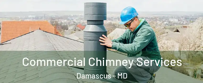  Commercial Chimney Services Damascus - MD