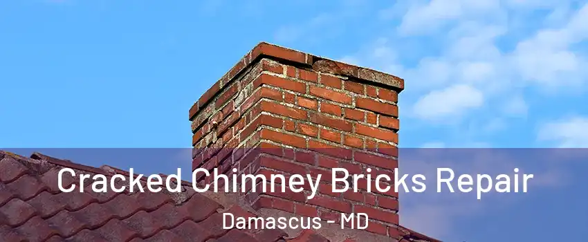  Cracked Chimney Bricks Repair Damascus - MD