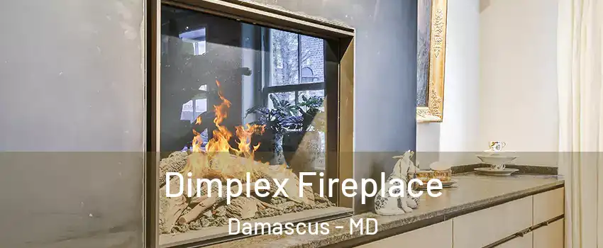  Dimplex Fireplace Damascus - MD