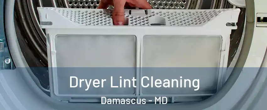  Dryer Lint Cleaning Damascus - MD