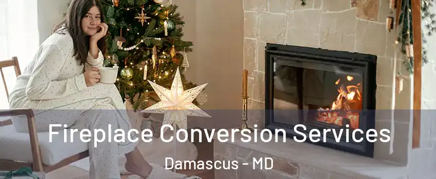  Fireplace Conversion Services Damascus - MD