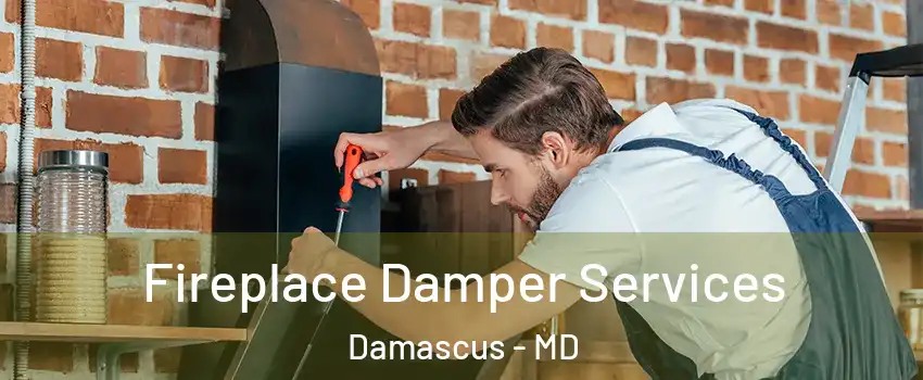 Fireplace Damper Services Damascus - MD