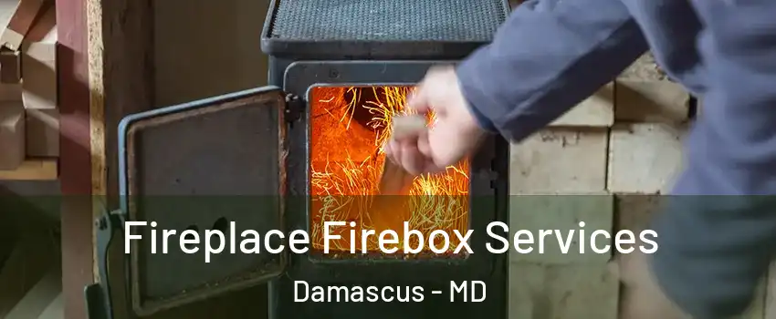  Fireplace Firebox Services Damascus - MD