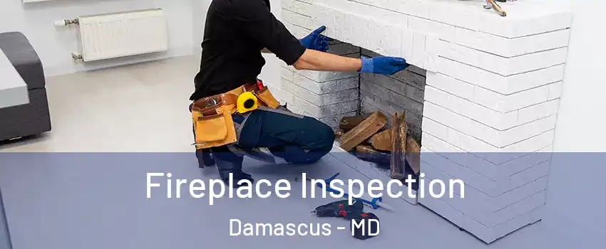  Fireplace Inspection Damascus - MD