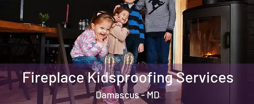  Fireplace Kidsproofing Services Damascus - MD
