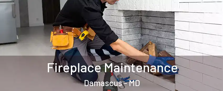  Fireplace Maintenance Damascus - MD