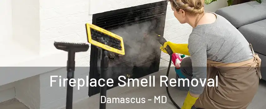  Fireplace Smell Removal Damascus - MD