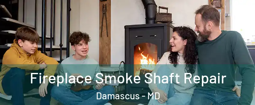  Fireplace Smoke Shaft Repair Damascus - MD