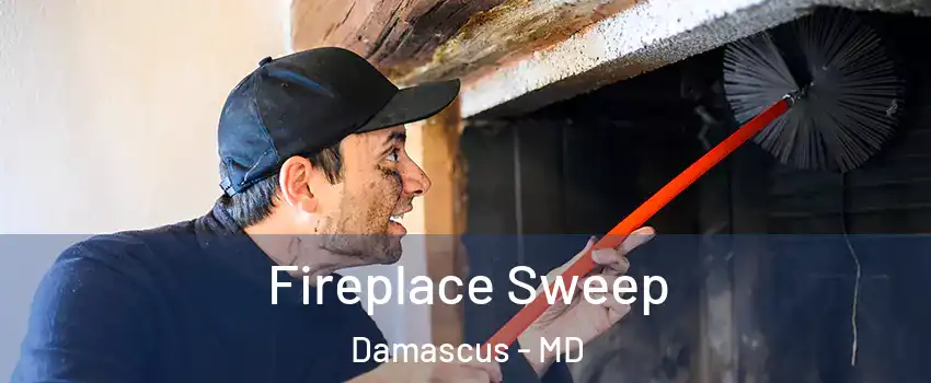  Fireplace Sweep Damascus - MD