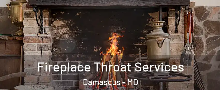  Fireplace Throat Services Damascus - MD