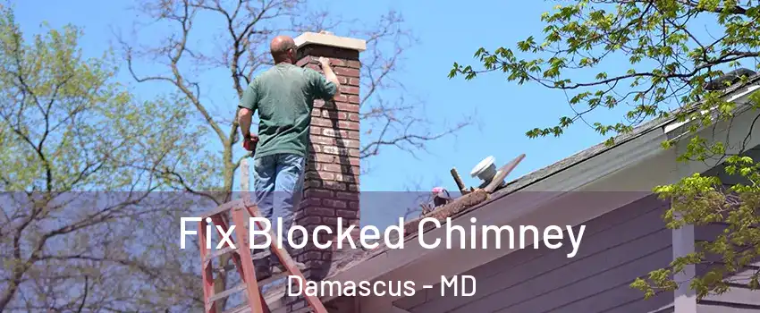  Fix Blocked Chimney Damascus - MD