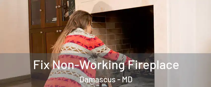  Fix Non-Working Fireplace Damascus - MD