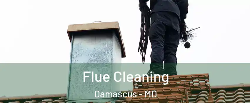  Flue Cleaning Damascus - MD
