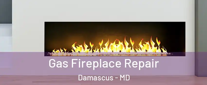  Gas Fireplace Repair Damascus - MD