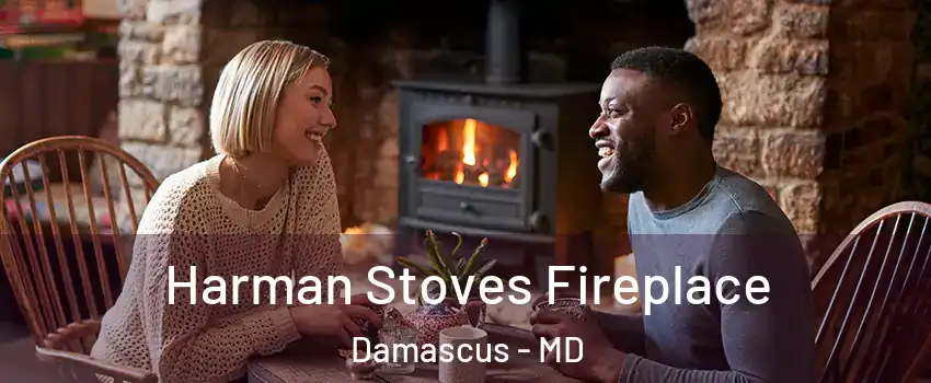  Harman Stoves Fireplace Damascus - MD