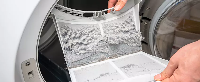 Best Dryer Lint Removal Company in Damascus, Maryland
