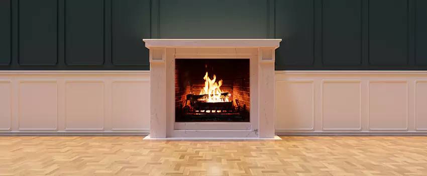 Napoleon Electric Fireplaces Inspection Service in Damascus, Maryland