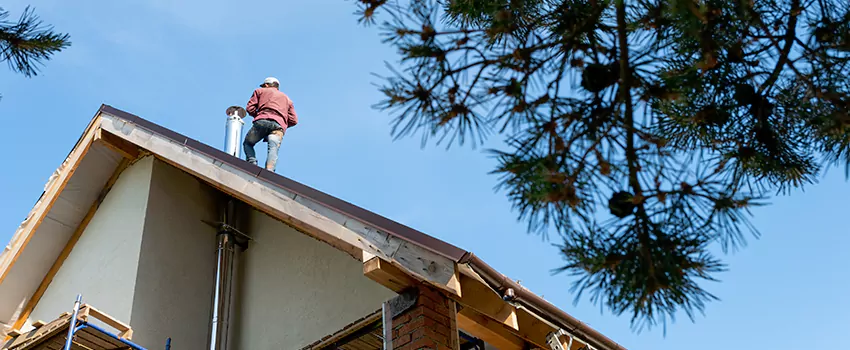 Birds Removal Contractors from Chimney in Damascus, MD