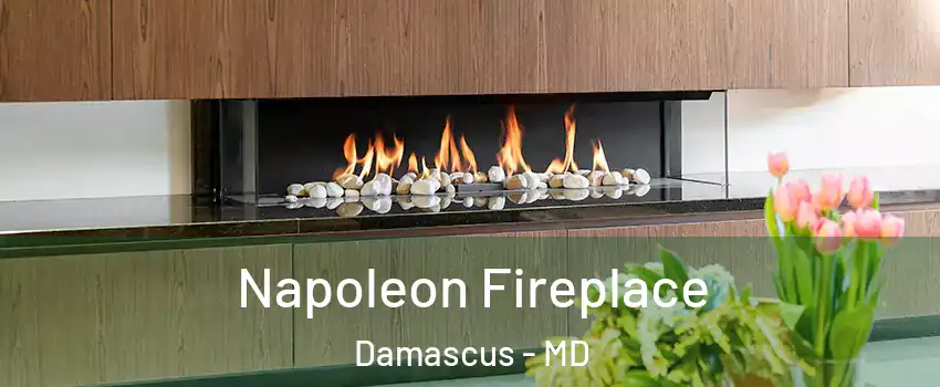  Napoleon Fireplace Damascus - MD