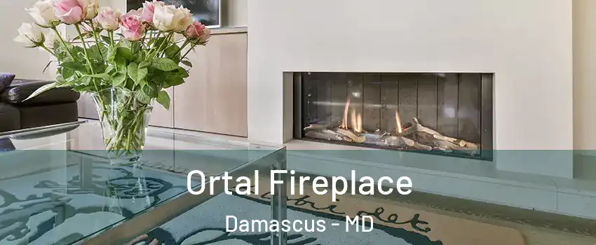  Ortal Fireplace Damascus - MD