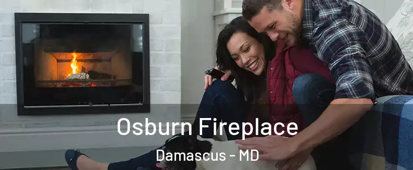  Osburn Fireplace Damascus - MD