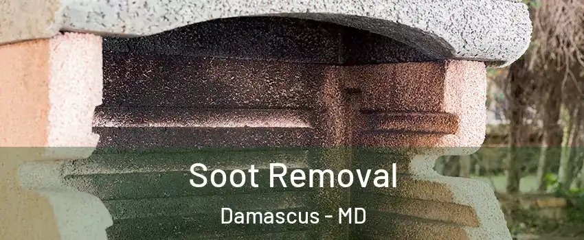  Soot Removal Damascus - MD