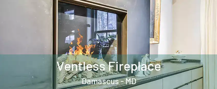  Ventless Fireplace Damascus - MD